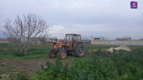 الزراعة شمال شرق سوريا