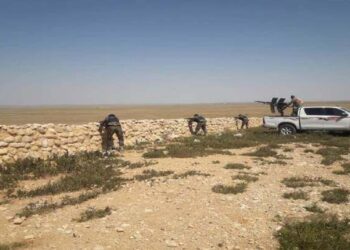 صورة أرشيفية