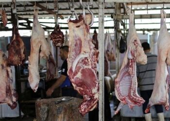 خاص | غلاء اللحوم مستمر في شمال غرب سوريا مع غياب الحلول