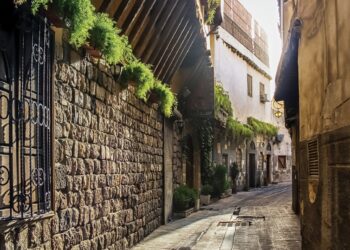 مديرية دمشق القديمة تلقي باللوم على اﻷهالي بعد شكواهم من انتشار القوارض