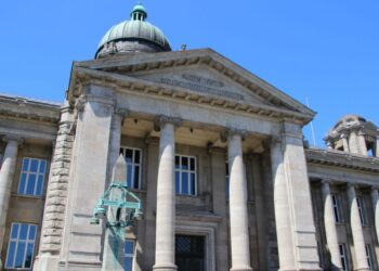 ألمانيا تحاكم عنصراً من ميليشيا الدفاع الوطني