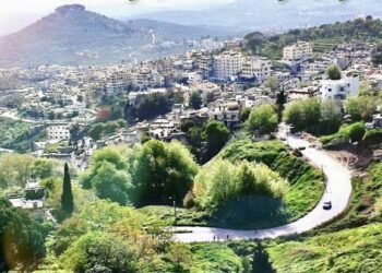 رجل يٌنهي حياة صديقه بطريقة بشعة في دريكيش على الساحل السوري