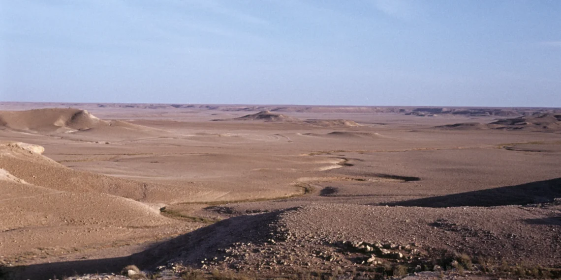 الكمأة المغمسة بالدم ترفع حصيلة الضحايا السوريين