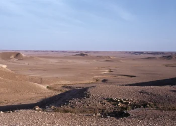 الكمأة المغمسة بالدم ترفع حصيلة الضحايا السوريين