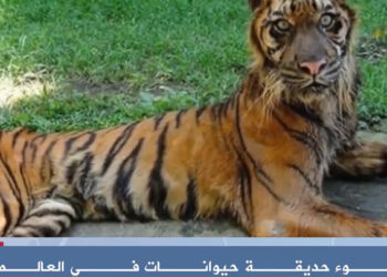 خارج السرب الحلقة 38