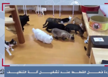 خارج السرب الحلقة 40