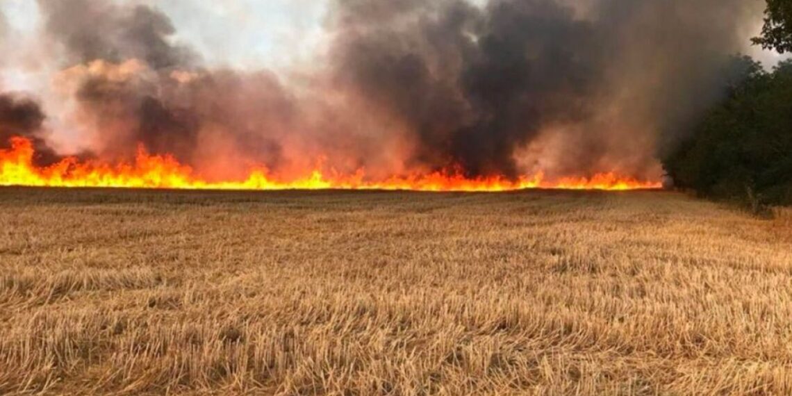 صورة تعبيرية