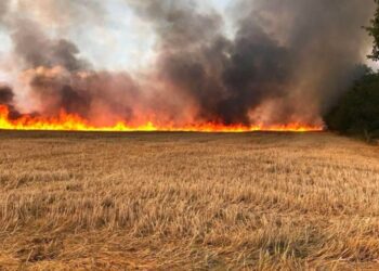 صورة تعبيرية