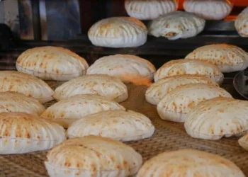 “لا يصلح إلّا علفاً للحيوانات”.. شكاوى من الخبز في حلب وسلطة الأسد مشغولة بتحصيل البدل