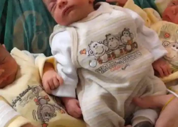 الاسم محمد يواصل صعوده في ألمانيا والسويد