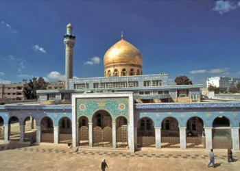 موقع موالٍ يكشف حقائق صادمة عن تجارة الجنس الرائجة في “السيدة زينب”