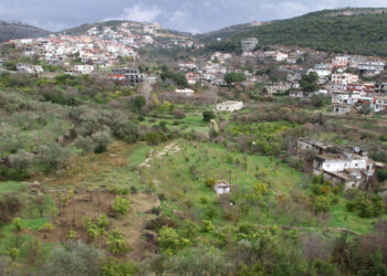 حيوان غريب يهاجم السكان قرب طرطوس على الساحل السوري