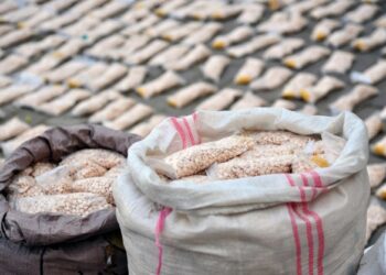 تصاعد معاناة دول الجوار السوري.. ضبط شحنة كبتاغون ضخمة في العراق