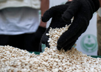 أرشيفية - سلطة الأسد تهرّب الكبتاغون لدول الجوار