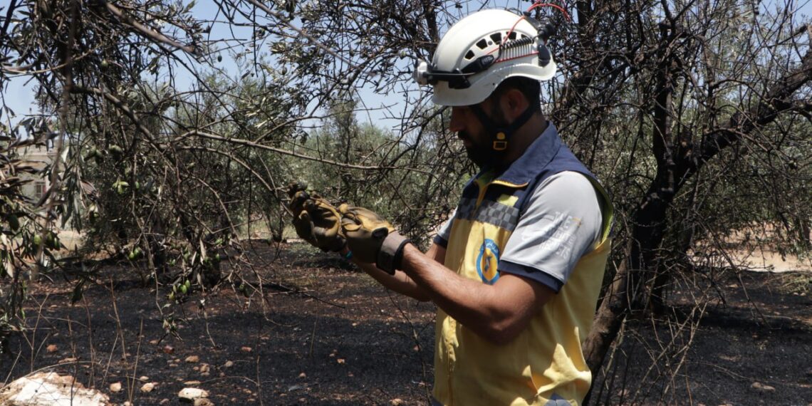 خاص | آلاف الحرائق خلال أشهر في شمال غرب البلاد.. ما هي الأسباب؟