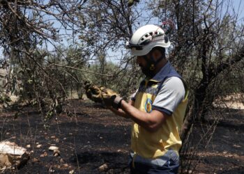 خاص | آلاف الحرائق خلال أشهر في شمال غرب البلاد.. ما هي الأسباب؟