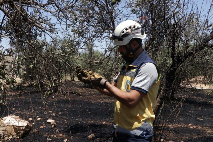 خاص | آلاف الحرائق خلال أشهر في شمال غرب البلاد.. ما هي الأسباب؟
