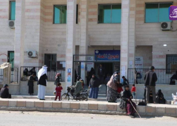 مشفى هجين العام