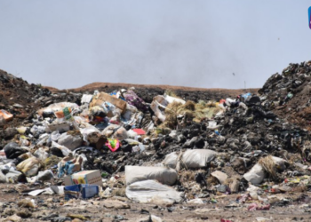 تراكم القمامة في دير الزور وانتشار العقارب والأفاعي