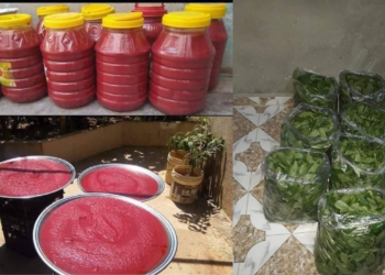 المؤن التي تعمل على إنتاجها نساء في الحسكة