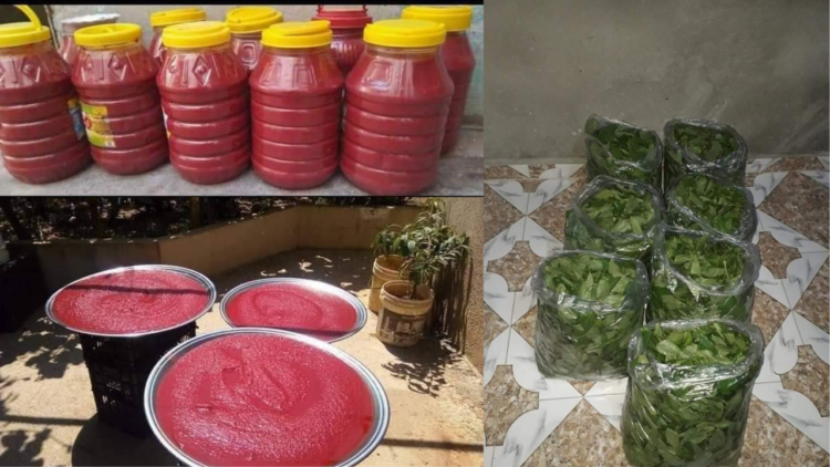 المؤن التي تعمل على إنتاجها نساء في الحسكة