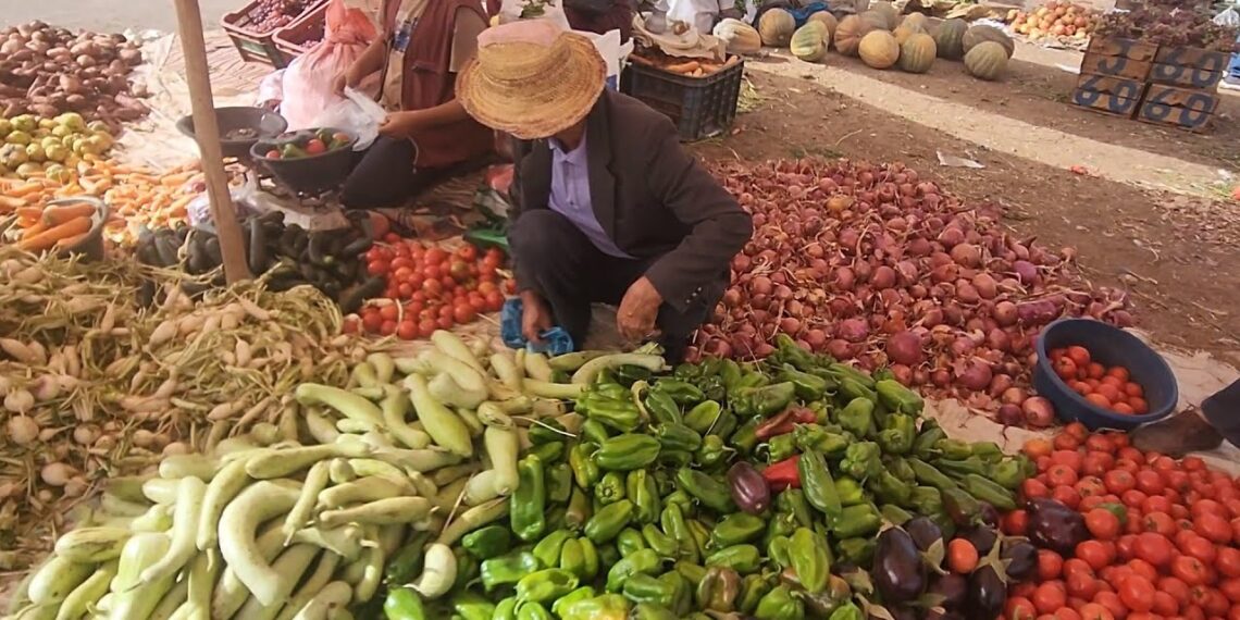 خاص | صيف قاسٍ يترك أثرا سلبيا على جيوب السوريين في الشمال الغربي