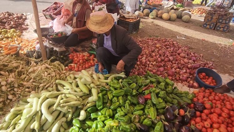 خاص | صيف قاسٍ يترك أثرا سلبيا على جيوب السوريين في الشمال الغربي