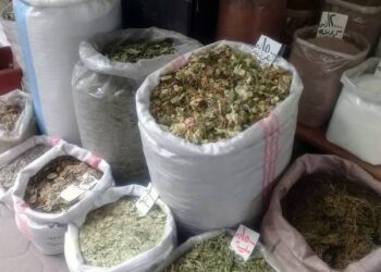 خاص | إقبال مستمر على العلاج بالأعشاب والطب البديل في إدلب