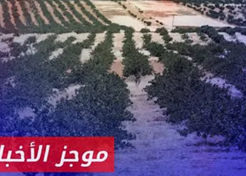 موجز أخبار الثانية 07 09 2024