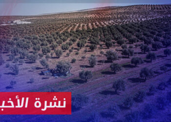 نشرة أخبار المساء 07 09 2024