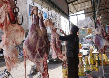 خاص | انخفاض مستمر بالإقبال على اللحوم نتيجة ارتفاع الأسعار في إدلب