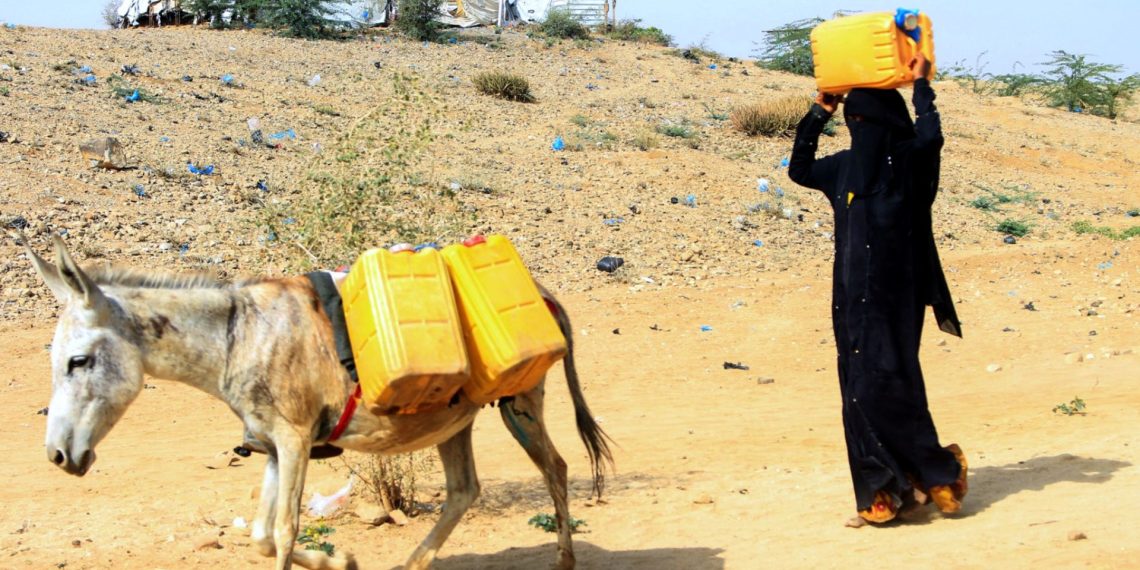 صورة تعبيرية