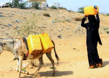 صورة تعبيرية