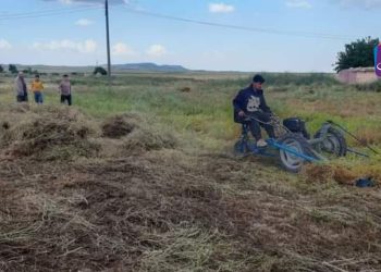 الزراعة في شمال شرق سوريا