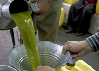 خاص | انخفاض زيت الزيتون يمنح الفقراء في الشمال السوري فرصة لشرائه