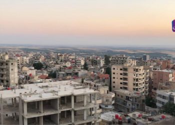 محافظة السويداء