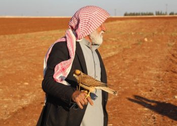 صورة تعبيرية