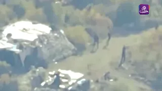 موجز أخبار السابعة 1 12 2024