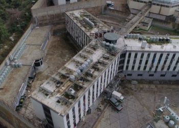 خاص | تصريحات مستفزة من مسؤولة لبنانية.. هكذا ردّ السوريون