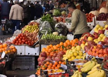 خاص | تحسّن سوق الخضار والفواكه ينعش آمال الفلاحين والتجار حول المواسم المقبلة