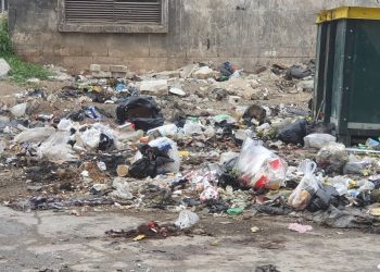 انتشار مكبات النفايات العشوائية في الأحياء الشرقية بحلب يشكل تهديدًا صحيًا وبيئيًا