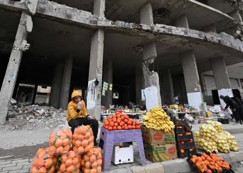 الأمم المتحدة: نصف سكان سوريا يواجهون انعدام الأمن الغذائي وسط تصاعد الأزمات