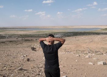 الحكومة السورية تدرس استيراد القمح بسبب قلة المحصول المحلي