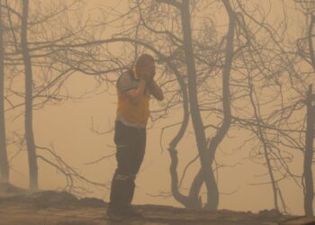 مسؤول سوري: ما يجري في الساحل هو أحد أخطر الحرائق التي واجهتها المنطقة