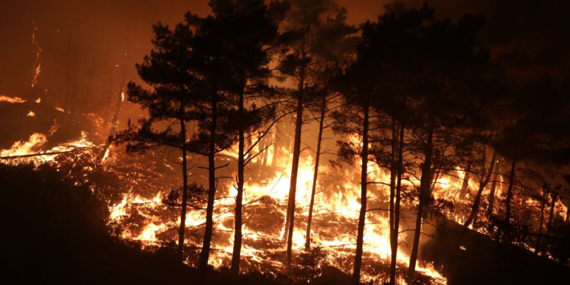 الدفاع المدني السوري يواصل مكافحة ألسنة اللهب غربي البلاد