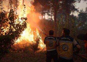 النيران تمتد لمحاور جديدة رغم جهود الإخماد المستمرة