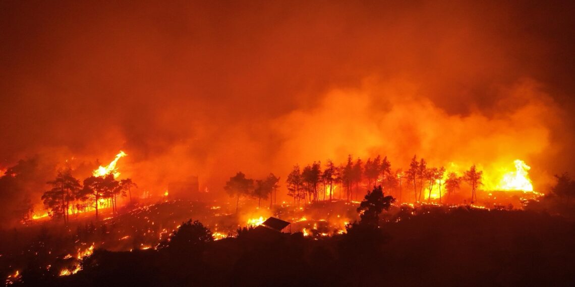 حرائق الغابات تتفاقم في ريفي اللاذقية وحماة وفرق الإطفاء تواجه صعوبات كبيرة