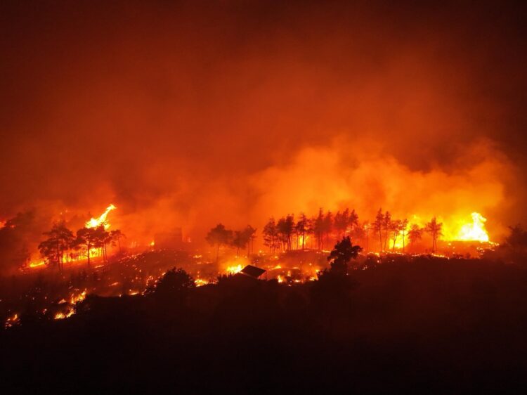 حرائق الغابات تتفاقم في ريفي اللاذقية وحماة وفرق الإطفاء تواجه صعوبات كبيرة