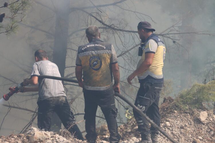 فرق الإطفاء تخوض معارك جديدة مع الحرائق شمال وغربي البلاد