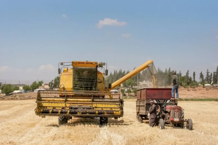 تحديات كبيرة تواجهها الحكومة السورية لتأمين القمح اللازم للبلاد.. ما القصة؟